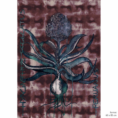 1-Hyacinthus-Wabi-Laque-de-garance-60x85-dessin-indigo-Limited-Edition-Laur-Meyrieux